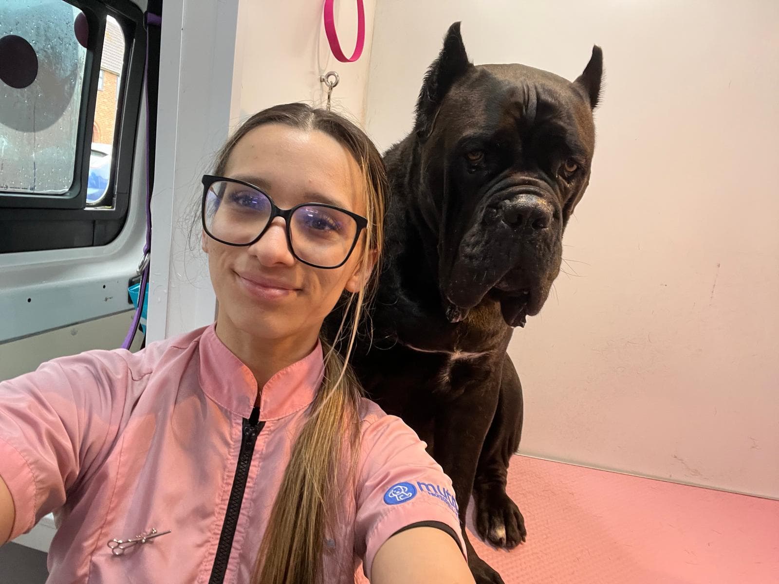 Kelly from Bark & Bliss with a gentle Cane Corso