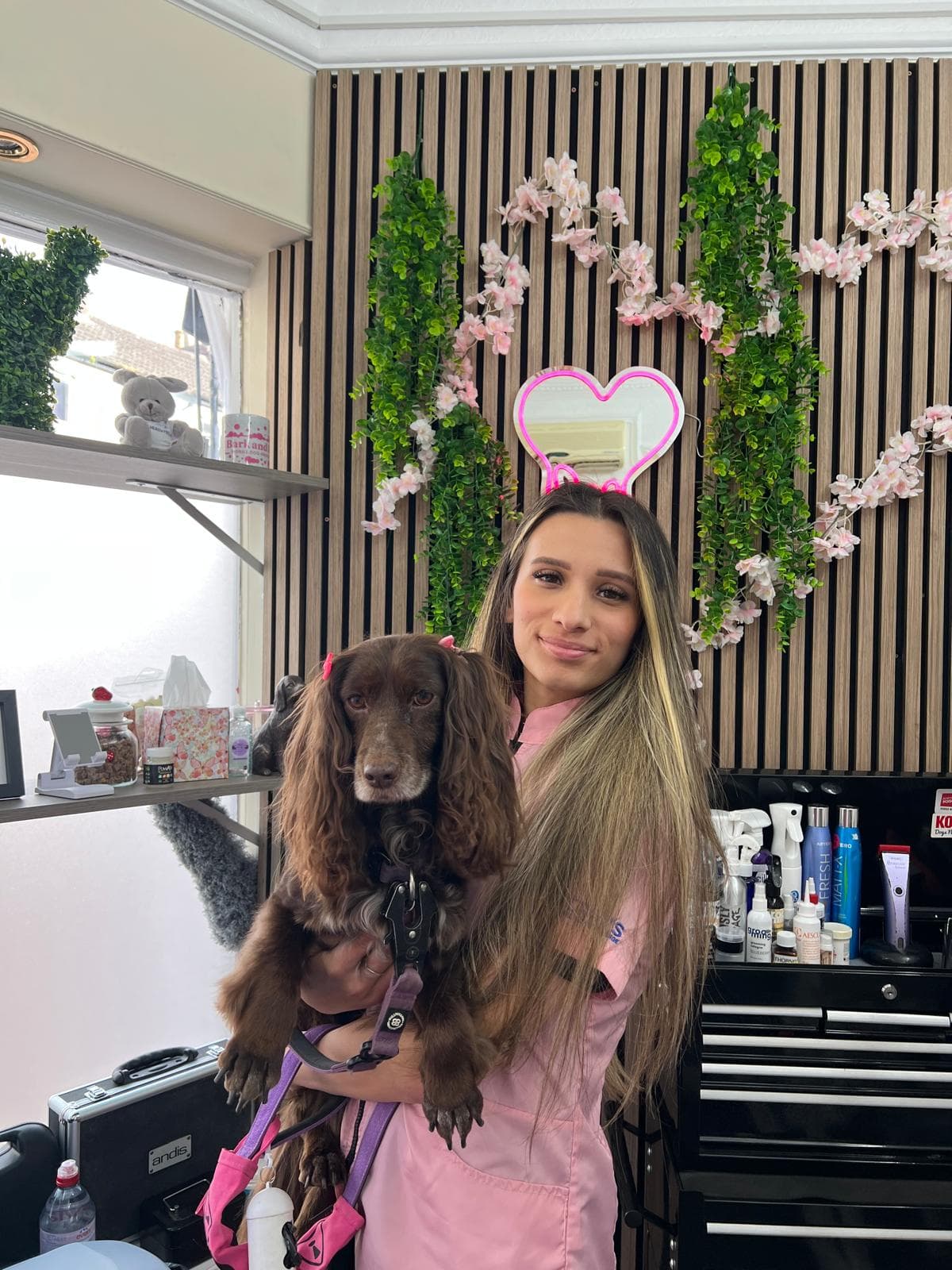 Kelly from Bark & Bliss grooming a happy, relaxed dog in Rugby